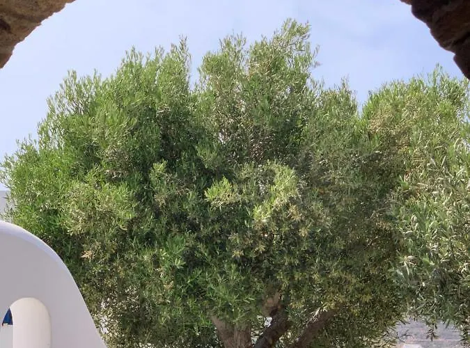 Marias Place 호스텔 *